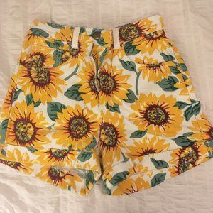 American Apparel Sunflower Shorts